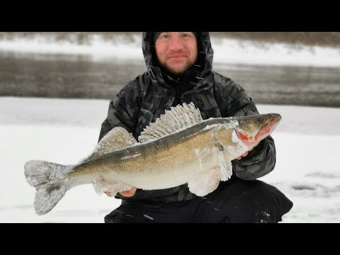 Видео: Такого СУДАКА я ещё не ловил! 