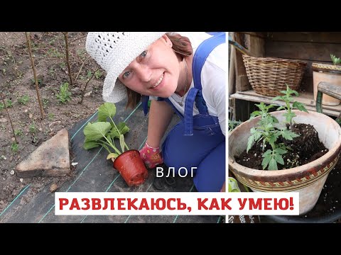 Видео: Высадила рассаду и сделала музей или огород в контейнерах!