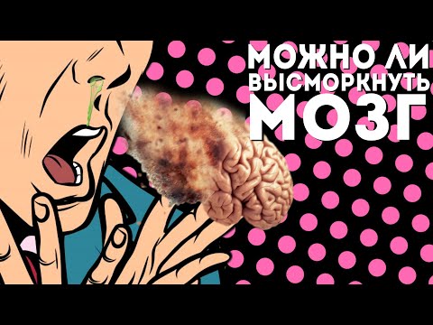 Видео: Можно ли высморкнуть мозг? | Отвечаю на ваши комментарии #12 | Мамедыч