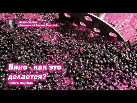 Видео: Вино - как это делается? Часть 1