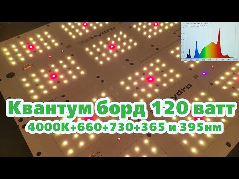 Видео: Новый квантум борд GoHydro - самый полный спектр | NEW Quantum board 2023