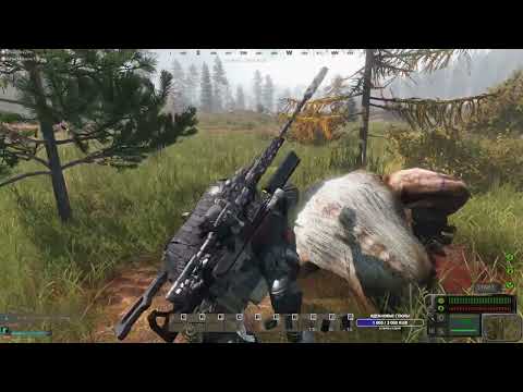 Видео: DayZ. [RU][PVE]Project A.M.B. STALKER. Часть 7. Осматриваем Янов, потом по квесту на северные топи.