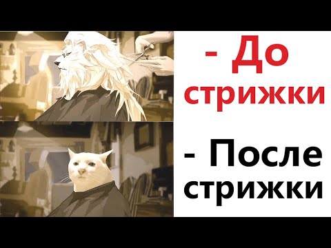 Видео: ПРИКОЛЫ! ДО И ПОСЛЕ СТРИЖКИ - МЕМЫ!!! Смешные видео – Доми шоу!