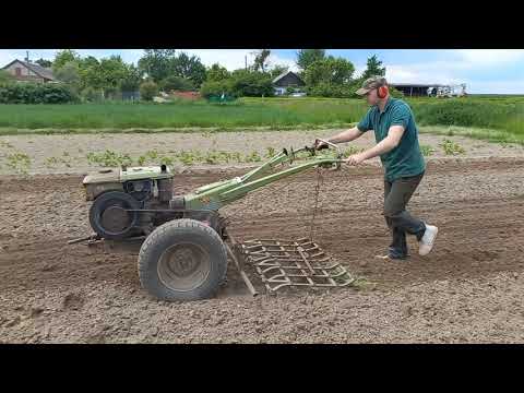 Видео: Борони до мотоблока. Боронування мотоблоком.