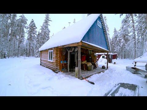 Видео: В ЭТОЙ ЛЕСНОЙ ИЗБЕ УЮТНО КАК ДОМА \ЖИЗНЬ В ТАЙГЕ И РЫБАЛКА ХАРИУСА НА ЛЕСНЫХ РЕКАХ СЕВЕРА