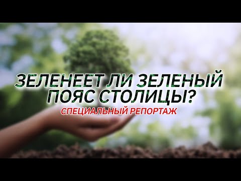 Видео: Зеленеет ли Зеленый пояс столицы? «Специальный репортаж» | Jibek Joly TV