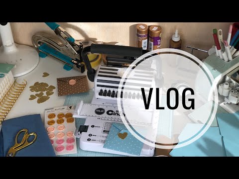 Видео: НЕДЕЛЯ ВЛОГОВ // Планеры, необычный заказ