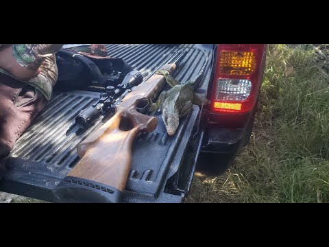 Видео: Охота на дичь в Тринидаде.!!!