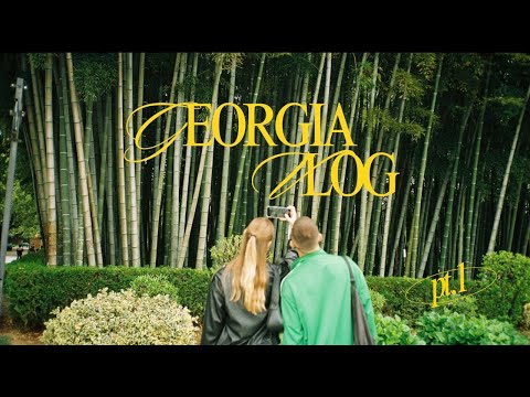 Видео: GEORGIA PT. 1 | ОТВРАТИТЕЛЬНЫЕ апартаменты | встреча с другом | грузинская еда | Батуми