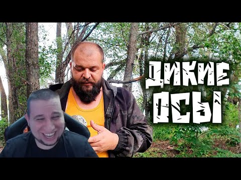 Видео: МАНУРИН СМОТРИТ ЕДА ДЛЯ ВЫЖИВАНИЯ В ПРИРОДНЫХ УСЛОВИЯХ - ДИКИЕ ОСЫ / ВЫЖИВАЛОВО