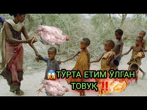 Видео: 😭 ФОЗИЛ ҚОРИ Тўрта Етим Ўлган Товуқ ‼️😱 фозил қори демир қоя
