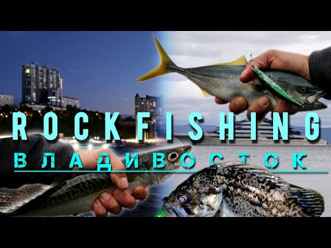 Видео: Скумбрия на каждом забросе ! Рыбалка на спиннинг Владивосток (часть 1)
