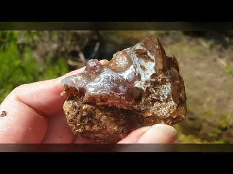 Видео: Агаты, натечный халцедон, псевдосталактиты халцедона, окаменелости на берегах реки Осетр, 9 мая 2025