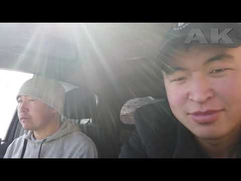 Видео: Алай районунан Кара кулжа раенуна ашып кеткен ашуу