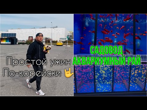 Видео: Садовод, Аквариумный рай,Красивые рыбки|Приготовили корейский ужин 