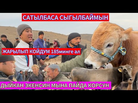 Видео: 09.10.2025ж АРАВАН МАЛ БАЗАР ДЫЙКАНДАР ЖОНОКОЙ ЭКЕНБИЗ БААЛАР ЭМНЕГЕ МЫНДАЙ