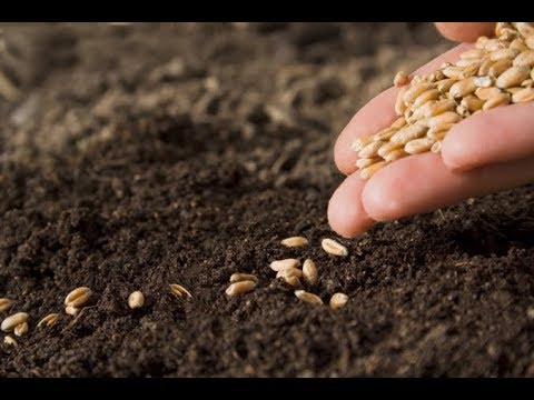 Видео: РЕТО_20 лет, открывая путь с 1992 года