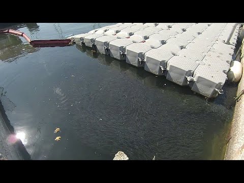 Видео: Информация за риболова във Варна!