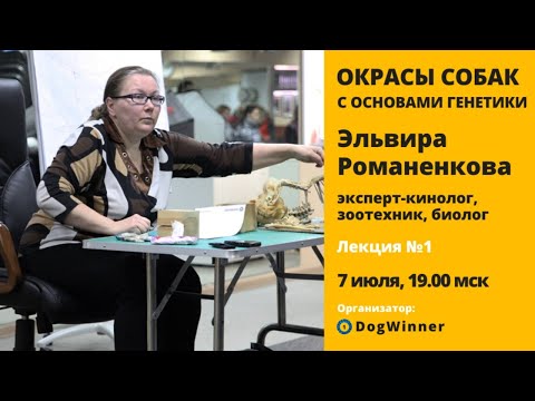 Видео: Окрасы собак с основами генетики. Открытая лекция Эльвиры Романенковой