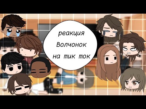 Видео: реакция Волчонка на тик ток || #3 || Волчонок |×