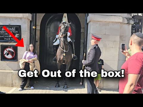 Видео: УЙДИ! Ей всё равно, даже если она в коробке!