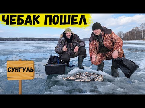 Видео: Попали на раздачу чебака, оз. Сунгуль