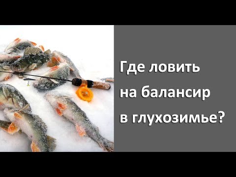 Видео: Где ловить в глухозимье на балансир? Зимняя рыбалка на нижней Волге!