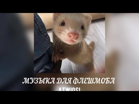 Видео: музыка для флешмоба💟