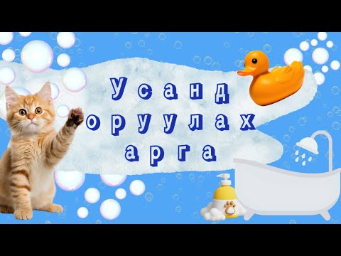 Видео: Муур усанд оруулах арга🛁🫧🧼