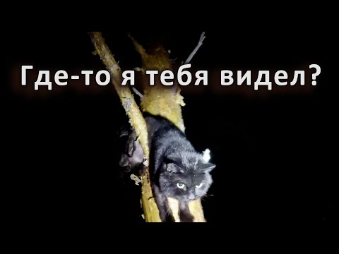 Видео: Сначала не понял, а потом кааак понял...