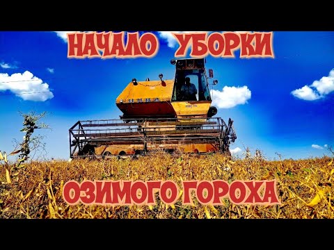 Видео: Настройка комбайна Нива СК 5 на уборку гороха - не получается косить озимый горох ''НС МОРОЗ''