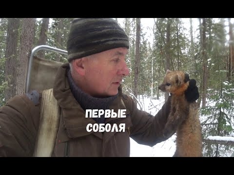 Видео: ПЕРВЫЕ СОБОЛЯ СЕЗОНА