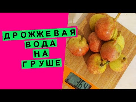 Видео: Дрожжевая вода для хлебной закваски: как сделать основу для ЛЕВИТО МАДРЕ