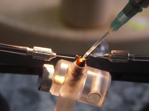 Видео: МАТКИ ИО.Все СЕКРЕТЫ!. ВАЖНЫЕ  моменты по осеменению!