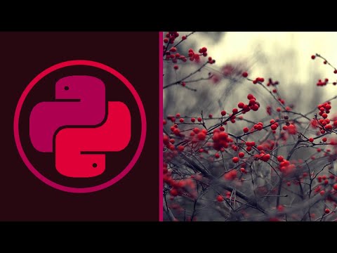 Видео: САМЫЕ ЧАСТЫЕ ОШИБКИ DJANGO | Python 3, Питон 3