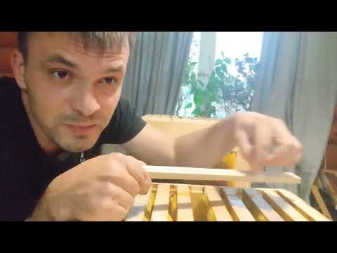 Видео: Попытки пчеловождения в безвощинном улье "Варре", разбор гнезда кассированного роя 11.10.24.