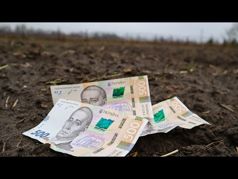 Видео: Шлях до Мільйону у Вирощуванні:Ставити ОЛ ІН чи шукати Золоту Середину?