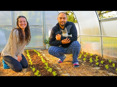 Видео: ЖИВОТ НА СЕЛО: Ремонтираме улуците + първите марулки 🌱  | Една седмица с нас ♥ | Boho Soulz