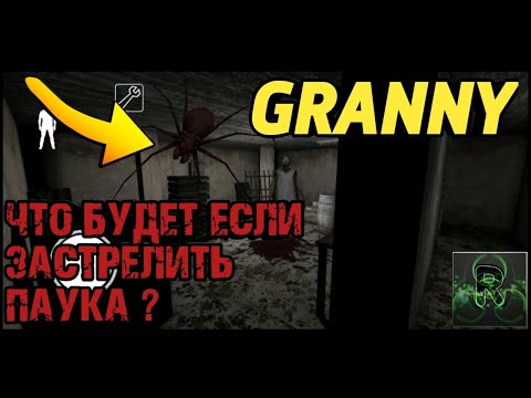 Видео: ЧТО БУДЕТ ЕСЛИ ЗАСТРЕЛИТЬ ПАУКА В ГРЕННИ ?▶️ GRANNY✔️
