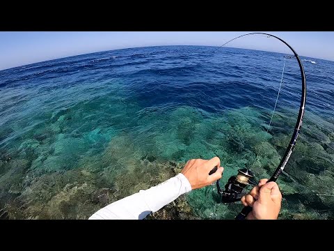 Видео: Порвала Шнур #3, Чуть не СЛОМАЛА Палку и Ушла)! Рыбалка в Египте!