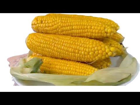 Видео: Кукуруза. Как сохранить кукурузу на зиму.