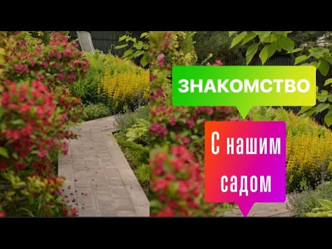 Видео: ОБЗОР НАШЕГО САДА. Конец октября.