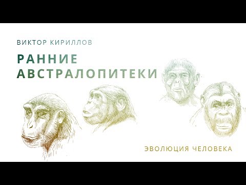 Видео: 7. Ранние австралопитеки. Происхождение человека - 10 класс