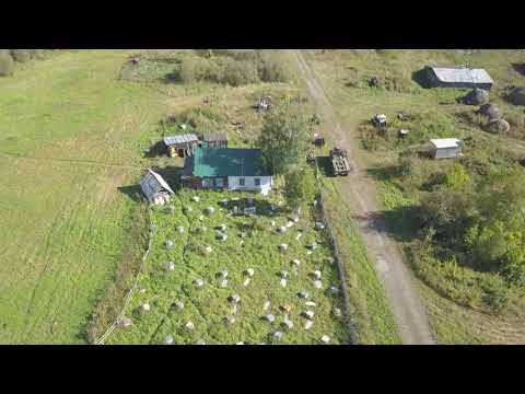 Видео: Ерофеевка 2021г