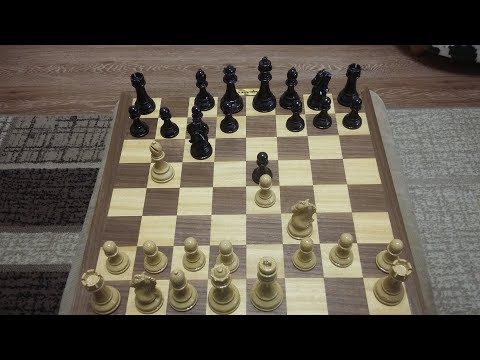Видео: Шахматы. Все основные варианты испанской партии. Испанский слон.