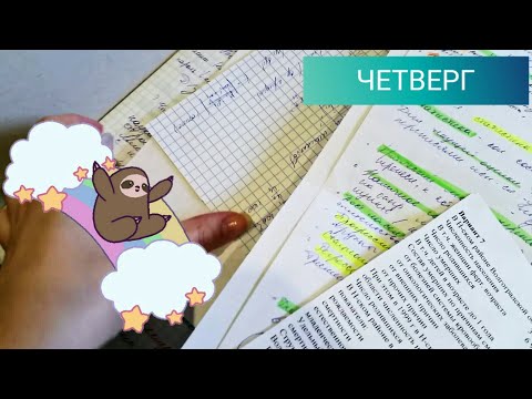 Видео: Как я делаю ДОМАШКУ в МЕДЕ?