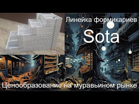 Видео: Обзор на новые формикарии. Подведение итогов конкурса.