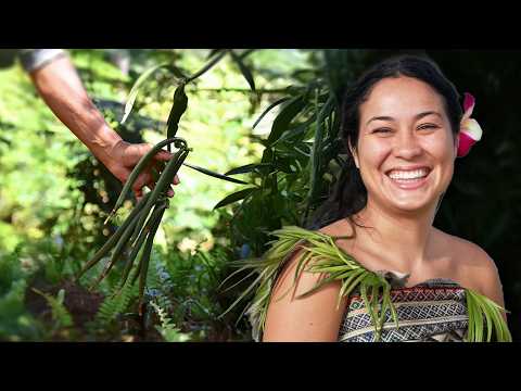 Видео: МАСТЕРА ВАНИЛИ (THE) - AMP