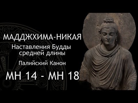 Видео: Мадджхима-никая. Наставления Будды средней длины. МН 14 - МН 18 / Студия Бодхи
