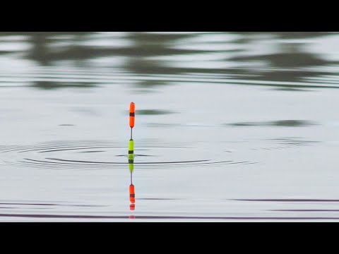 Видео: МУЖИКИ СИДЕЛИ И ГАДАЛИ НА ЧТО Я ЛОВЛЮ. РЫБАЛКА НА ПОПЛАВОК